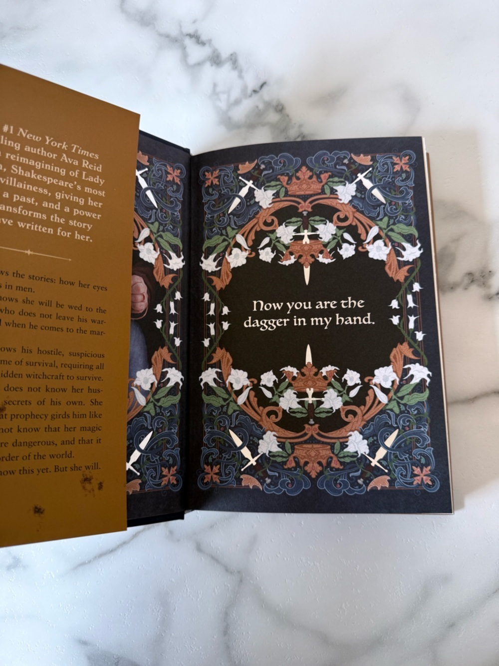 Owlcrate Lady Macbeth by Ava Reid Special Edition Book - Picture 5 of 6